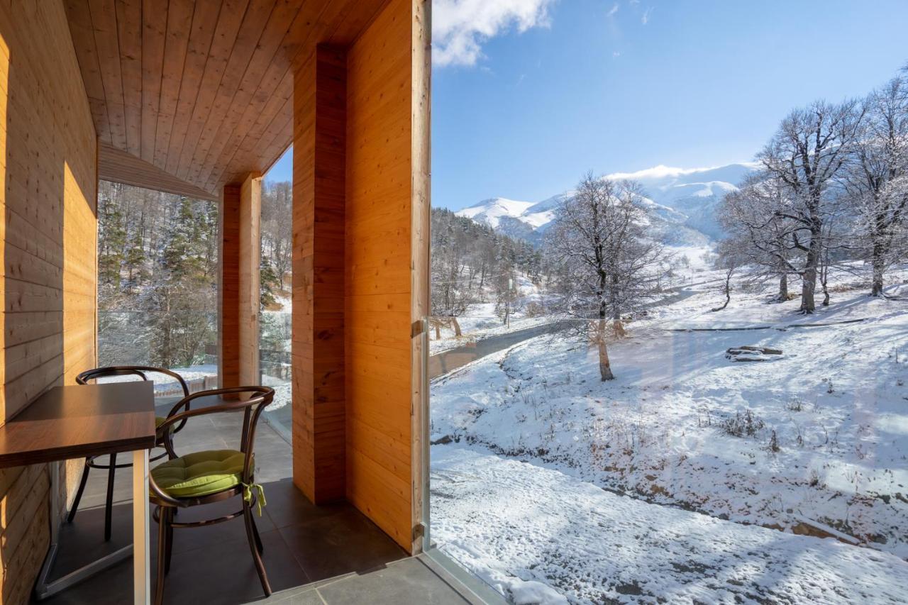 Didveli Valley Bakuriani Eksteriør bilde